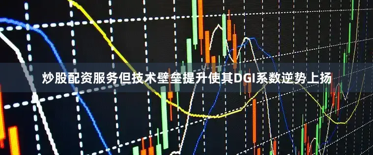炒股配资服务但技术壁垒提升使其DGI系数逆势上扬